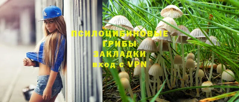 Псилоцибиновые грибы GOLDEN TEACHER  ОМГ ОМГ   Бабушкин 